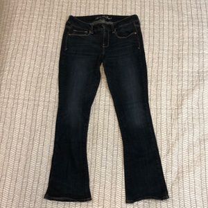 American Eagle Skinny Kick Short Jeans